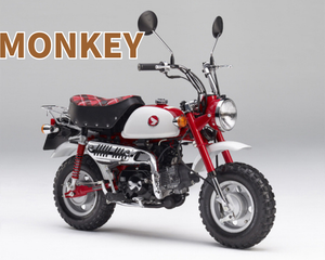 Collection image for: モンキーパーツ