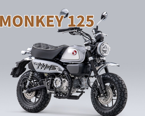 Collection image for: モンキー125パーツ