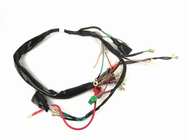 12Vモンキーゴリラメインハーネス