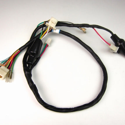 6Vモンキーメインハーネス