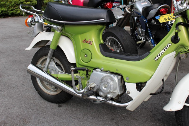 シャリィSPクラシックマフラーソリッド