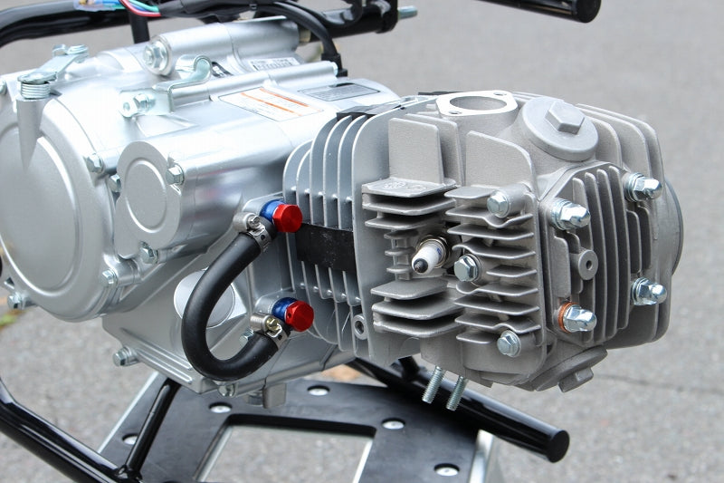 Hi　パフォーマンスZ-1型　GPX 125cc パフォーマンスZ-1型125ccエンジン – ミニモト公式オンラインショップ