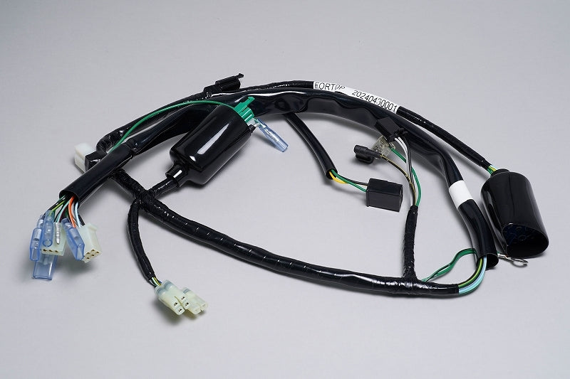 EG6 メインハーネス 2026年最新】Yahoo!オークション -シビック eg6 ハーネスの中古品